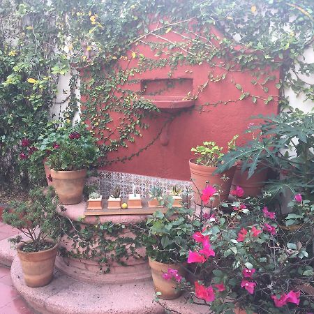 Alcatraz Hostal Σαν Μιγκέλ ντε Αγιέντε Εξωτερικό φωτογραφία